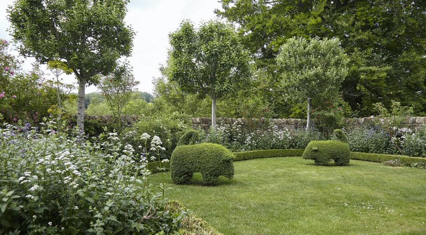 Photo of Golden Knights