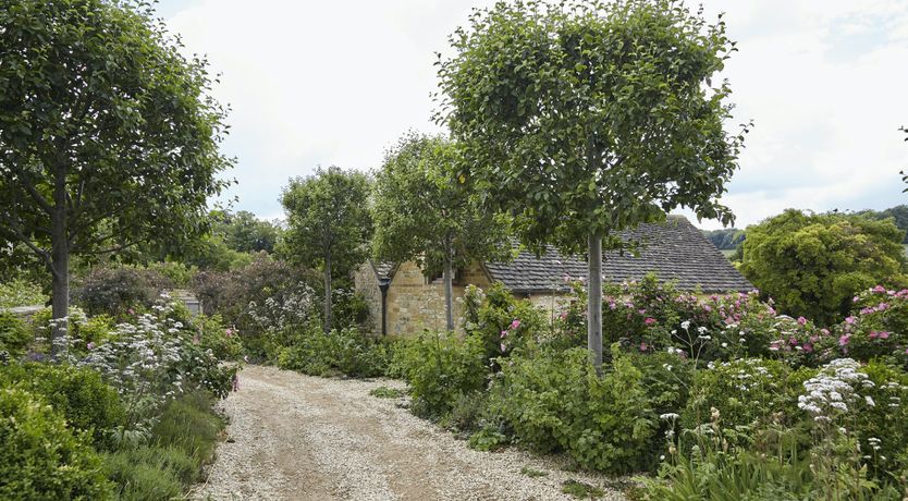 Photo of Golden Knights