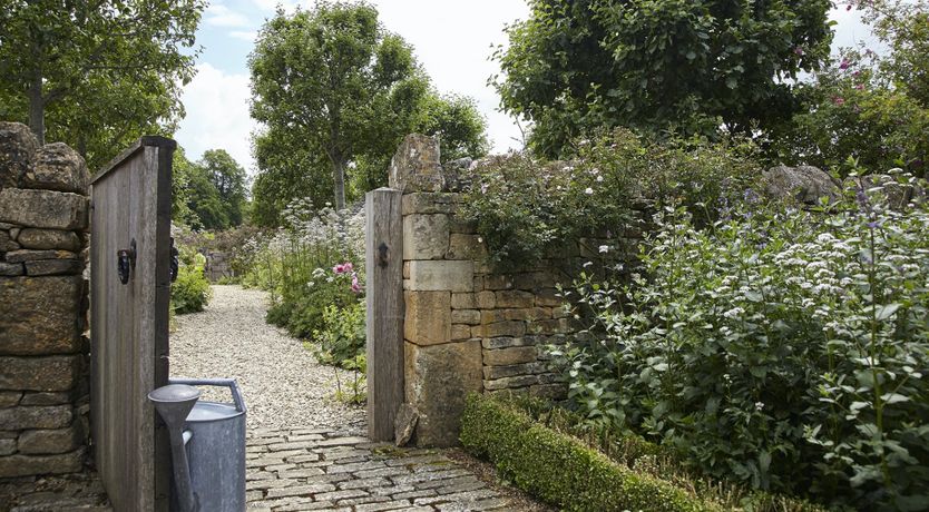 Photo of Golden Knights