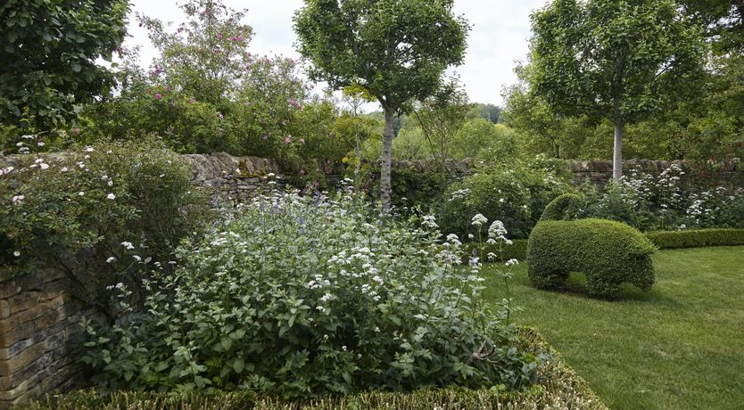 Photo of Golden Knights