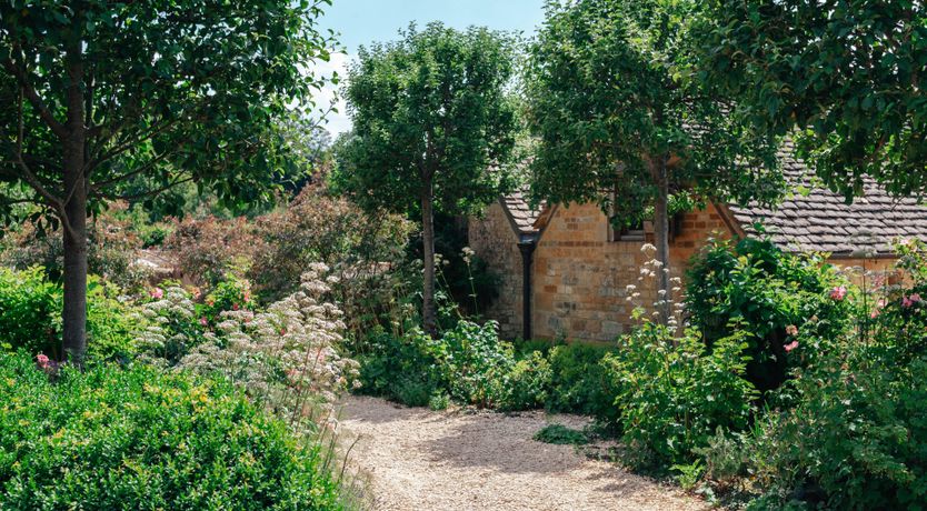 Photo of Golden Knights