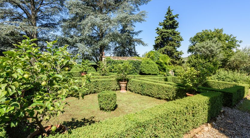 Photo of The Librarian