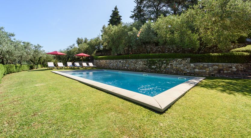 Photo of The Librarian