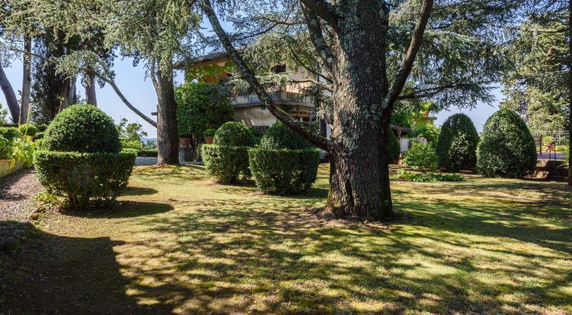 Photo of The Librarian