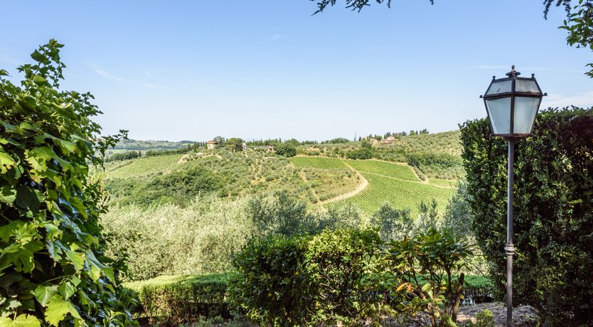 Photo of The Librarian