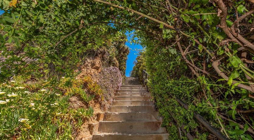 Photo of Down San Diego Way