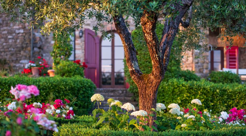 Photo of Grand Rusticana