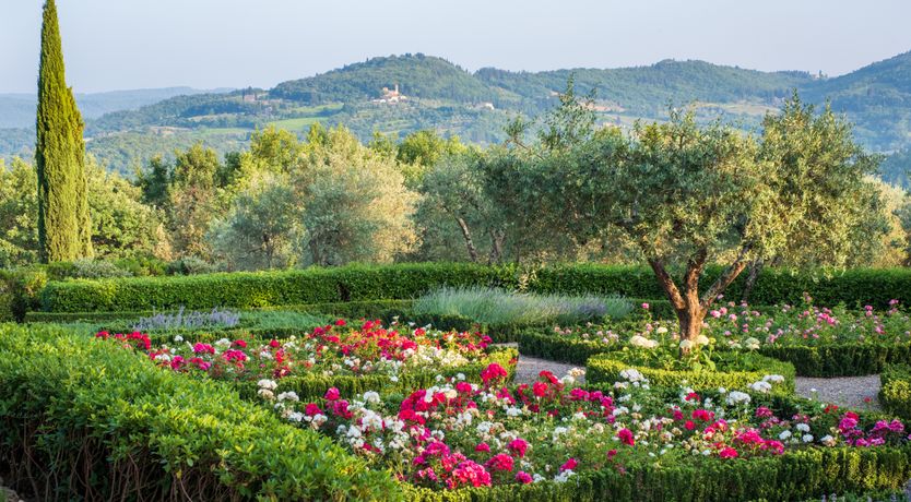 Photo of Grand Rusticana