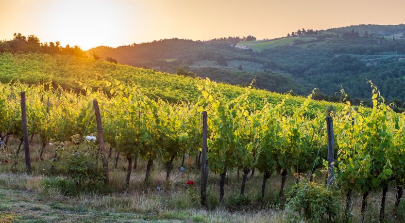 Photo of Grand Rusticana