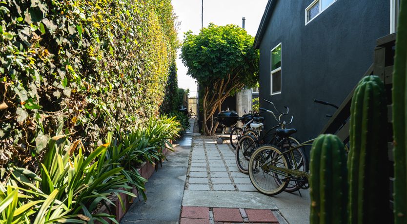 Photo of In Search of Orion