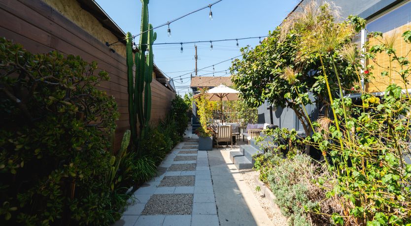 Photo of In Search of Orion