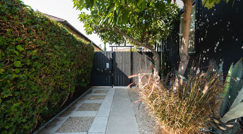 Photo of In Search of Orion