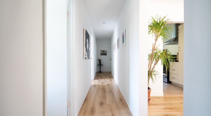 Photo of In Search of Orion