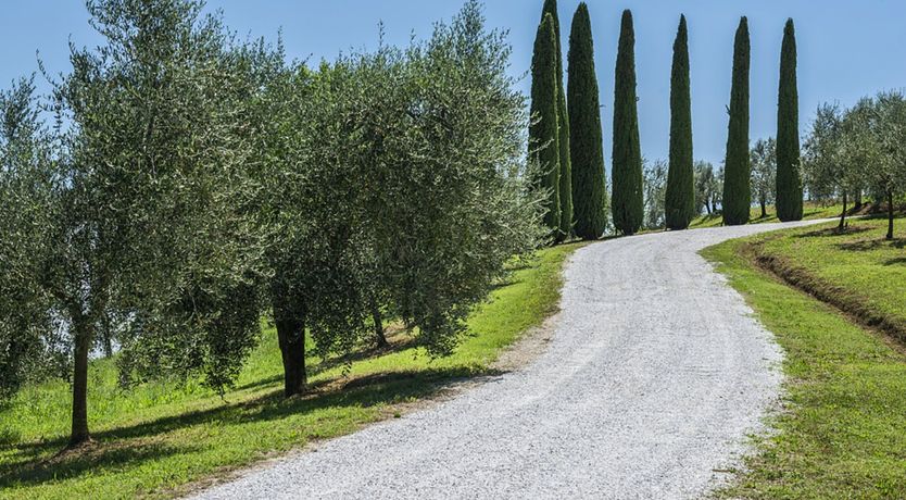 Photo of Tales of Tuscany