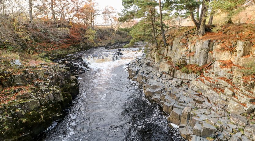 Photo of 45 South Green