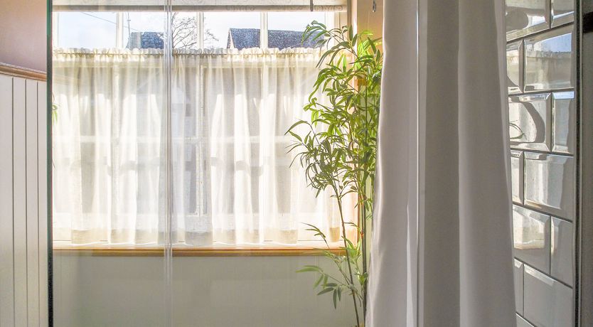 Photo of Hand In Glove