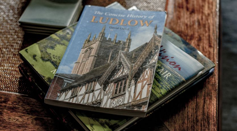 Photo of Hand In Glove