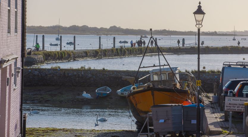 Photo of Little Orange Leaf