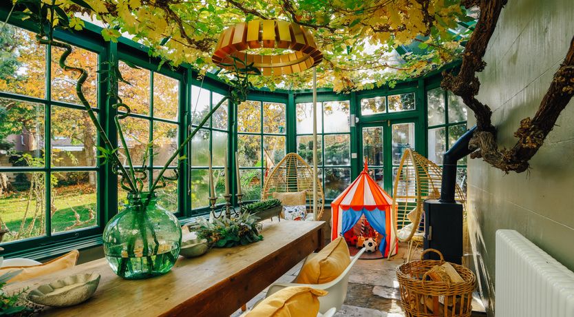 Photo of Little Orange Leaf