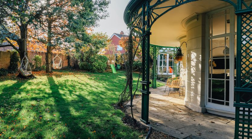 Photo of Little Orange Leaf