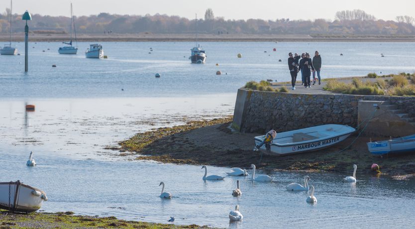 Photo of Little Orange Leaf