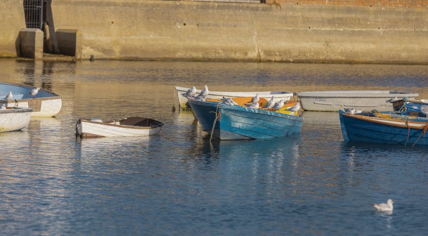 Photo of Little Orange Leaf