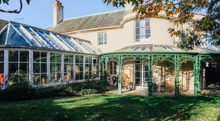 Photo of Little Orange Leaf