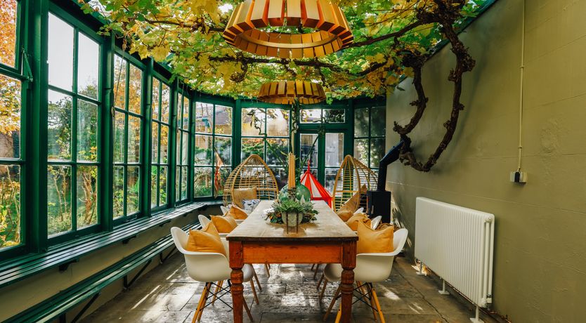 Photo of Little Orange Leaf