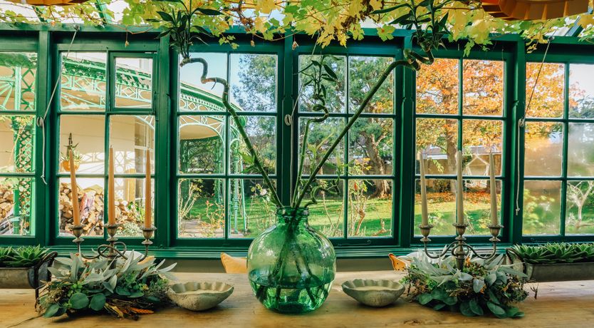 Photo of Little Orange Leaf