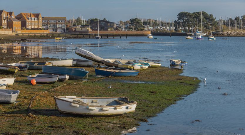 Photo of Little Orange Leaf