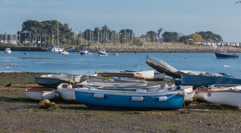 Photo of Little Orange Leaf