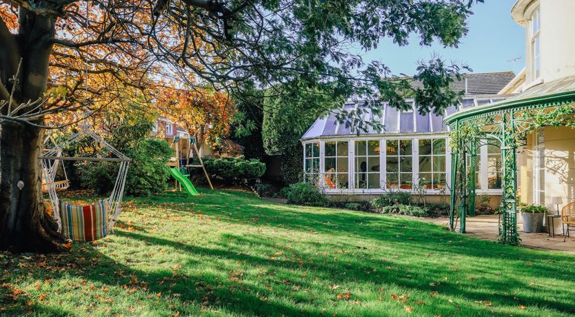 Photo of Little Orange Leaf