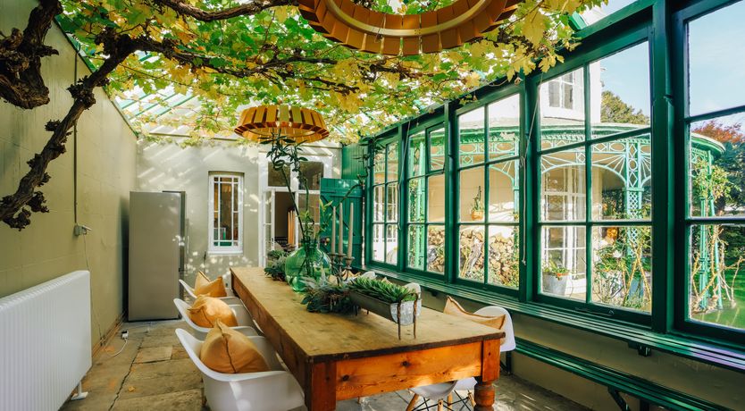 Photo of Little Orange Leaf