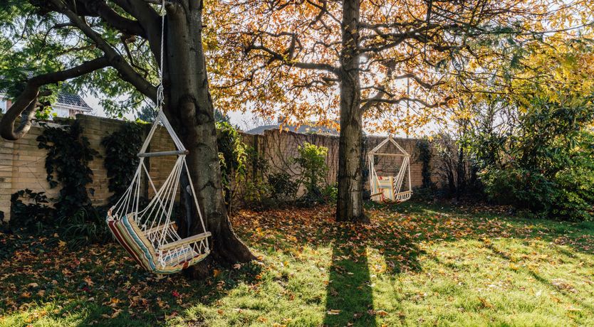 Photo of Little Orange Leaf