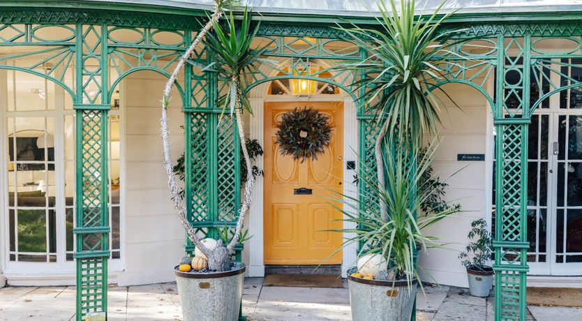 Photo of Little Orange Leaf