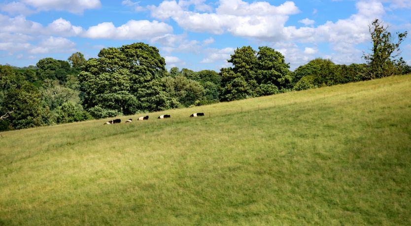 Photo of The Shippon