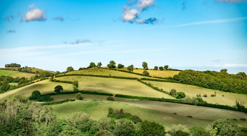 Photo of The Shippon