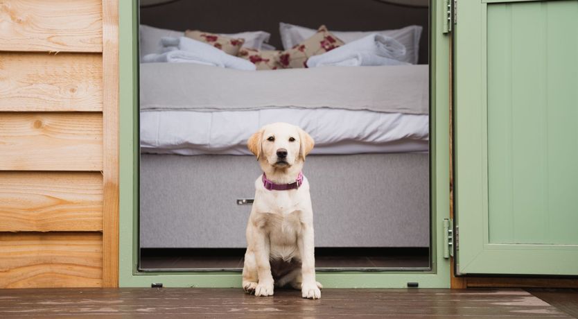 Photo of Shepherds Retreat