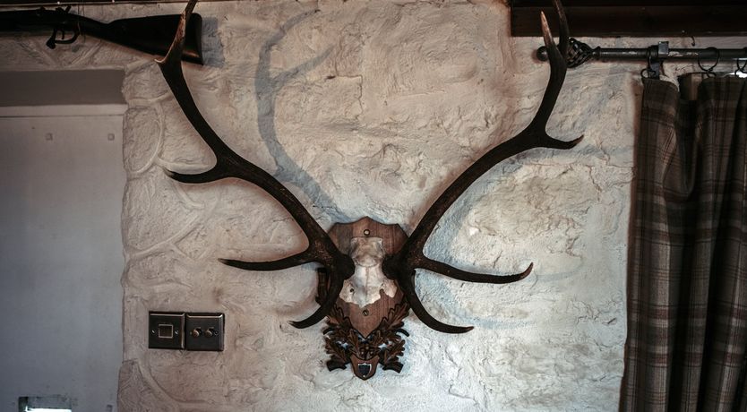 Photo of The Twitcher