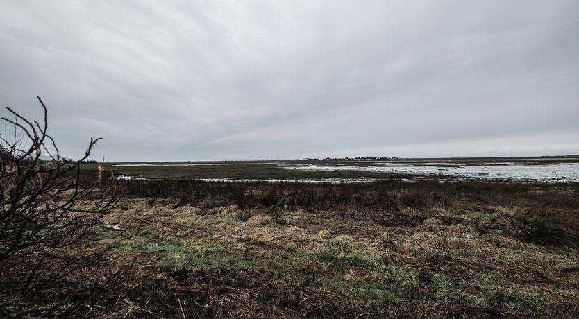 Photo of The Twitcher