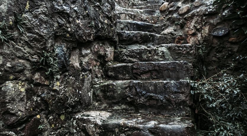 Photo of The Twitcher