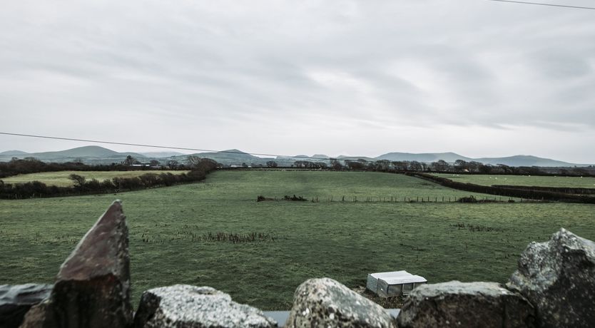 Photo of The Twitcher