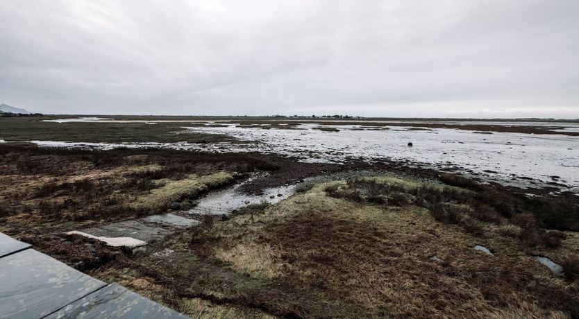 Photo of The Twitcher