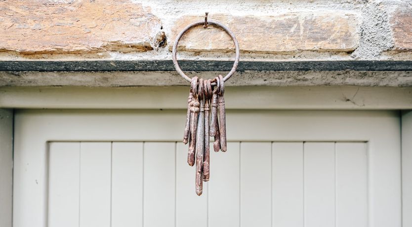 Photo of The Burrower's Den