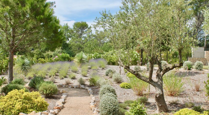 Photo of Pétanque Parlour