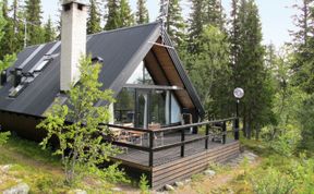 Photo of Lofsdalen Fjällbjörken