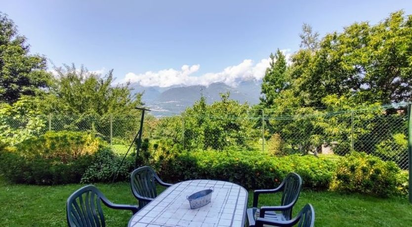 Photo of Gelsomino (CCO115)