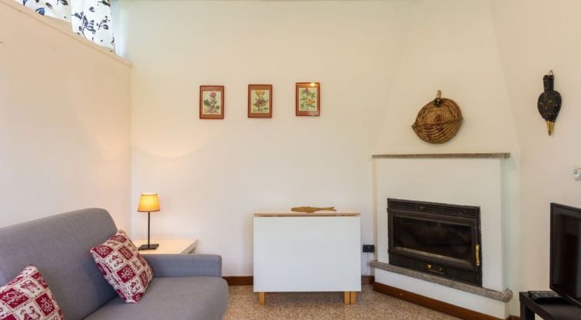 Photo of Gelsomino (CCO115)