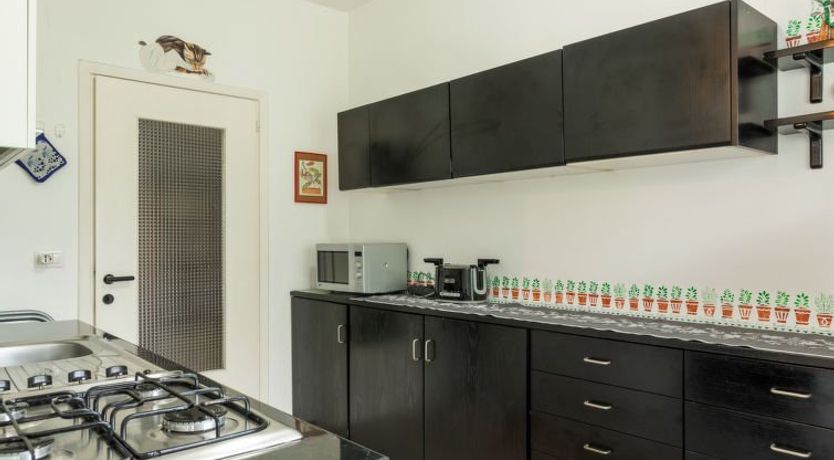 Photo of Gelsomino (CCO115)