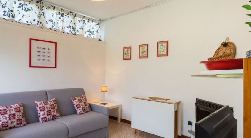 Photo of Gelsomino (CCO115)